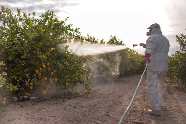 Trusted South Dennis, NJ Pest Control Experts