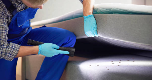 Best Best Pest Control Companies  in South Dennis, NJ