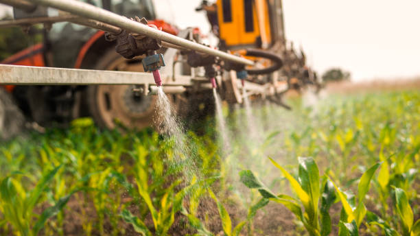Best Mosquito Control Services  in South Dennis, NJ